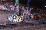 graffiti.jpg (38055 bytes)