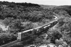 Cold-Spring-Harbor_east-of-station_W.Rogues-Path_c.1958_LIRR-Emery-SUNY-Stony-Brook.jpg (123652 bytes)