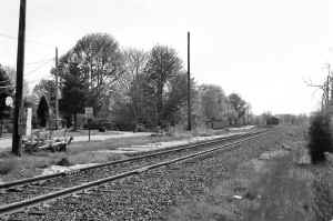 Station-Jamesport-Remains of Platform (View NE) - c. 1988 (Keller).jpg (105732 bytes)