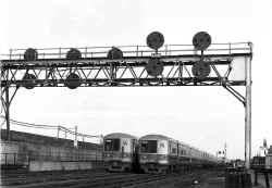 M1-trains-laying-up-Dunton-NY-12-25-71.jpg (100171 bytes)