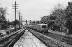 M1 9717 and eastbound 10-car train 1620 NY to Huntington at Bellerose 5_12_77_Votava-Boland.jpeg (141819 bytes)