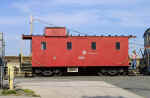 SIRT2006tomturner.jpg (43179 bytes)