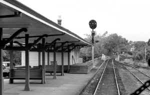 Station-Southampton-WB Express House-SN Block Signals-View W - 06-20-55 (Faxon-Keller).jpg (79549 bytes)
