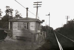 Cabin-Y-E of Sayville-c. 1925.jpg (75789 bytes)