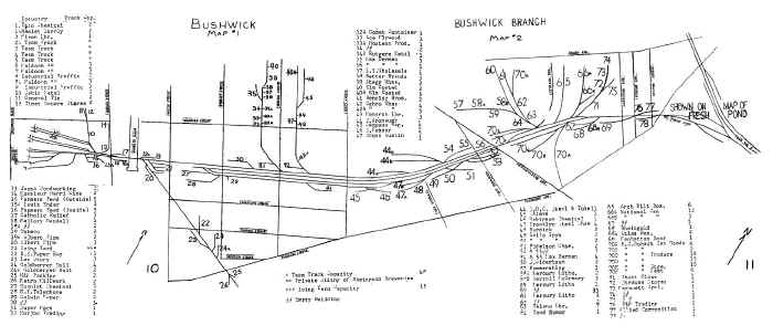 BushwickBranchMapcompositemap1966.jpg (193130 bytes)