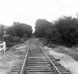 20-Creedmoor Br-ROW-Tracks-at Cross Island Pky-Bellerose-View W - 04-28-57 (Edwards-Keller).jpg (65127 bytes)