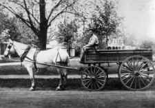 LIRR-Express- delivery- wagon_Irving-Lewis-Halleran-driver_c.1890s_Scott_Halleran.jpg (101406 bytes)