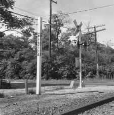 Station-Holtsville-Platform-Light-Sign-8-1971.jpg (237846 bytes)