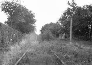 Station-Salisbury Plains and Abandoned Trackage (View W) - 07-27-53  (Slade-Huneke).jpg (88545 bytes)