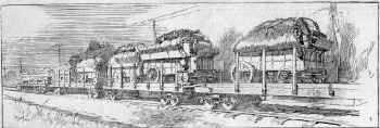 LIRR-Farm wagons on the Gondolas_Harpers 31Jan1885.jpg (91041 bytes)