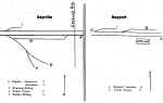 sayville1966.jpg (39733 bytes)