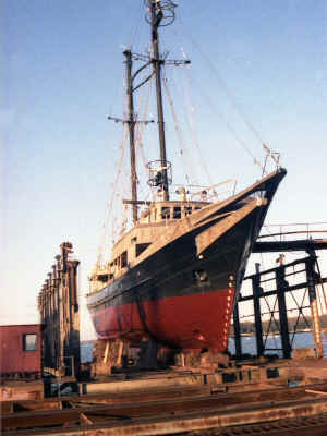 T-Jakobsen-Polish-Yacht-Drydock-12-84.jpg (105407 bytes)