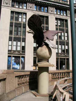 23.eagle.jpg (36624 bytes)