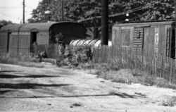 PRR 2-Door Horsecar in Freight Consist EB at New Hyde Park - c. 1952 (Winslow-Keller) (Zoom).jpg (91282 bytes)