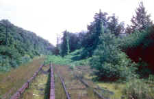 Glendale-Jct_track-from-Montauk-Branch-remains_viewS_9-1962_ArtHuneke.jpg (79977 bytes)