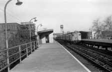 MU_Train_at_Sta-Woodhaven_Jct-View_NE-1950_(Edwards-Keller).jpg (64758 bytes)
