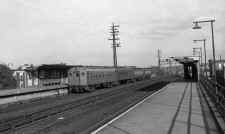 Station-Ozone Park-MU Train-View N.-1954 (Edwards-Keller).jpg (97248 bytes)