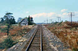 shinnecock-hills-station_viewW_c.1960s_SteveHoskins.jpg (96898 bytes)