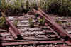 derail.jpg (35164 bytes)